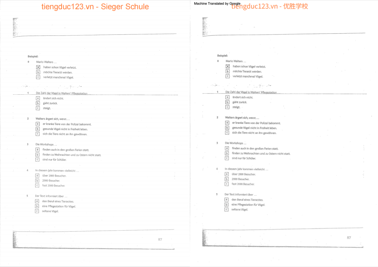 Google 文件翻譯效果示例-掃描