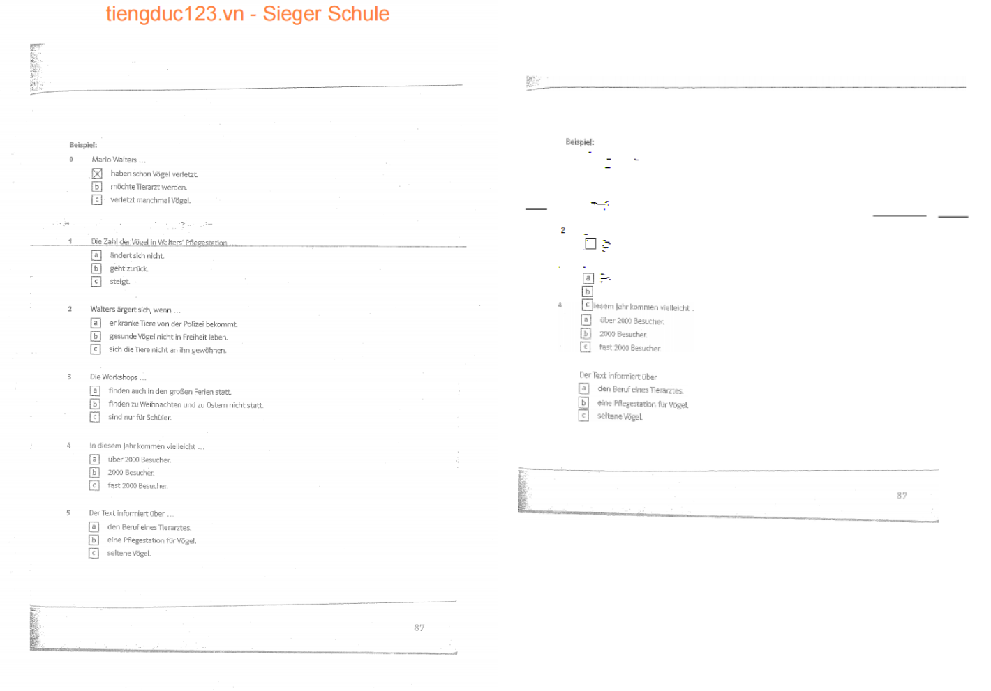 Google 文件翻譯效果示例-掃描