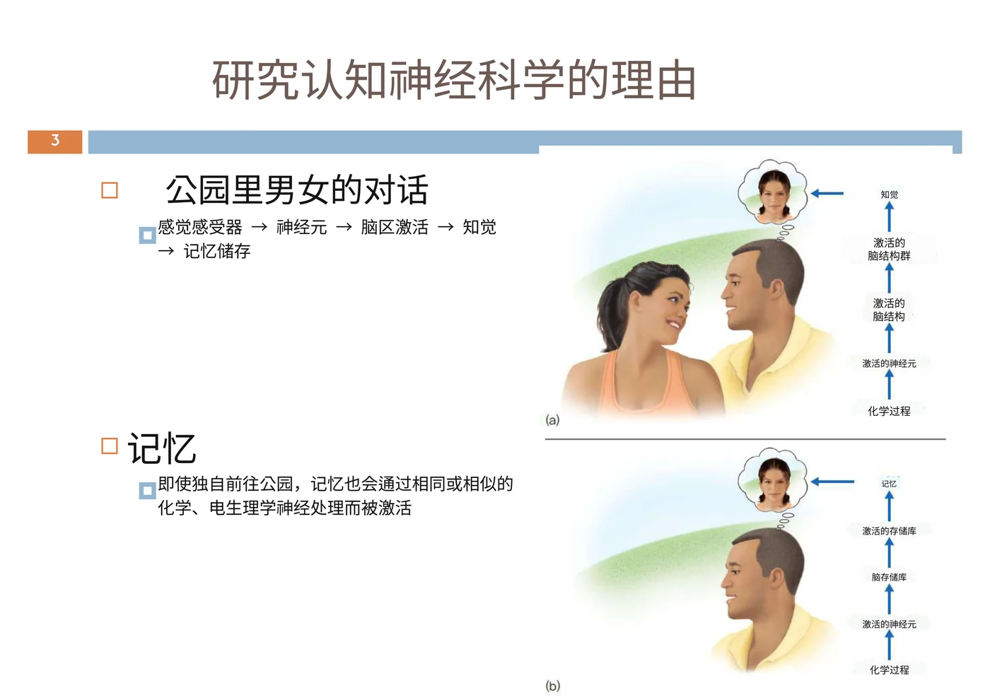 Presentation · Premium